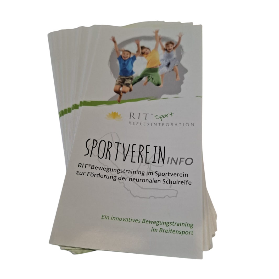 Flyer 250 Stück