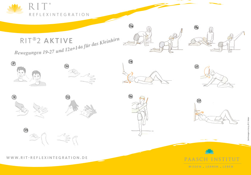 Plakat-Übungen A4 Arbeitsformat