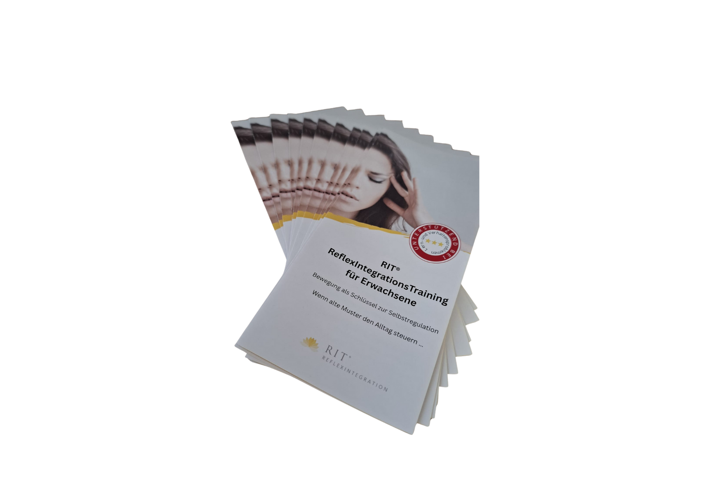 Flyer 250 Stück